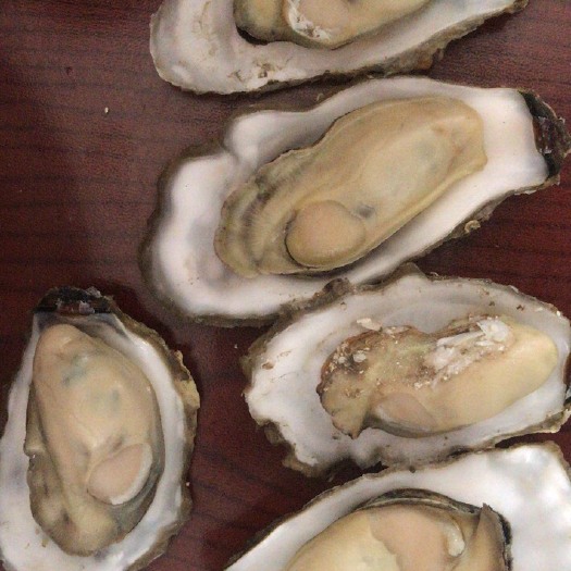 连云港乳山牡蛎 1-2两/只 海水 鲜活水产