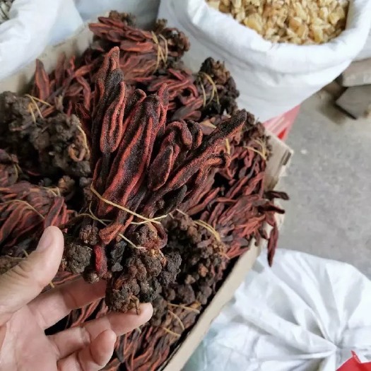 玉林 中药材回春草