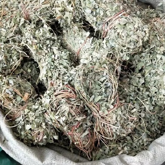 玉林 中药材鸡骨草