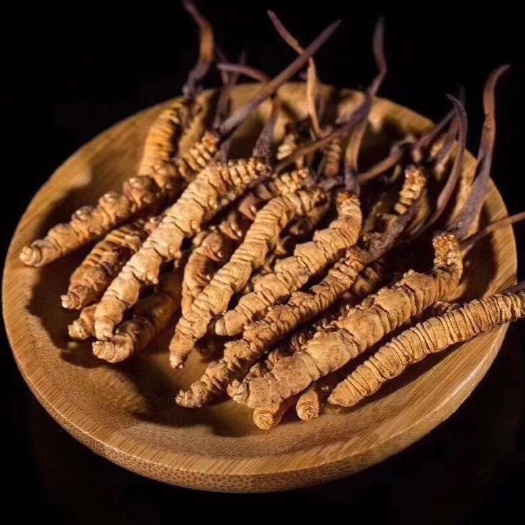 冬虫夏草，质量保证