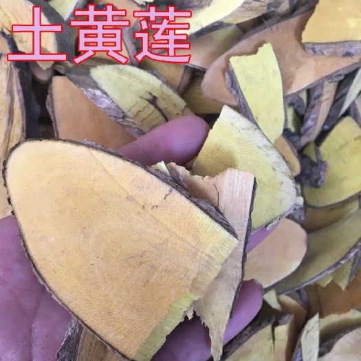  批发无硫新货 中药材 三颗针 土黄莲 刺黄连，鸡足黄连