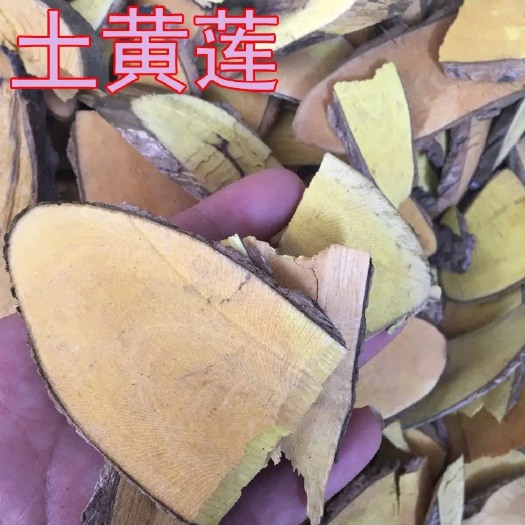 玉林 批发无硫新货 中药材 三颗针 土黄莲 刺黄连，鸡足黄连