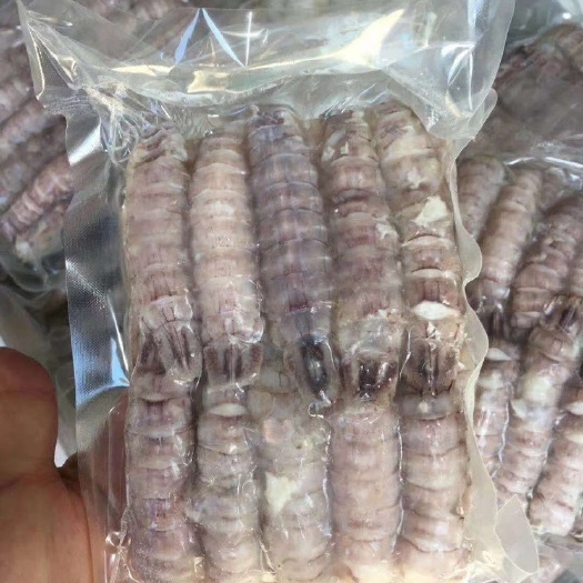 东山县 皮皮虾肉