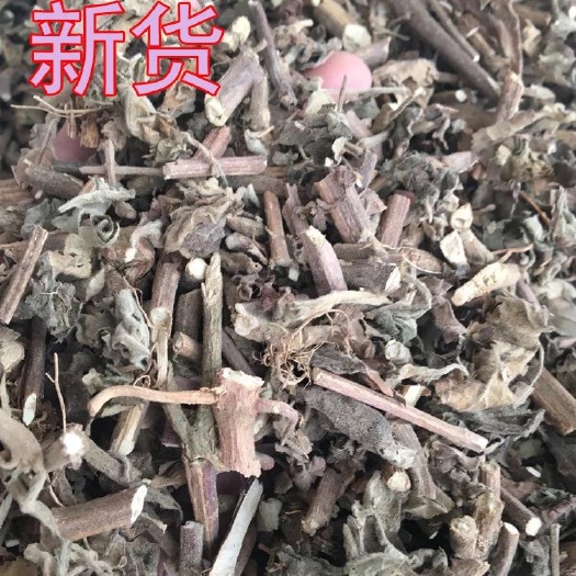 玉林广霍香 中药材批发供应 广藿香 无硫无杂 藿香