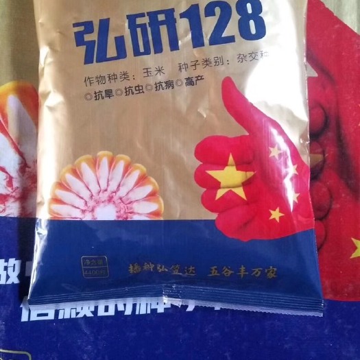 中牟县水果玉米种子 豫皖鲁冀审定，红轴，耐密抗高温，黄淮海平原春夏播矮早密品种。