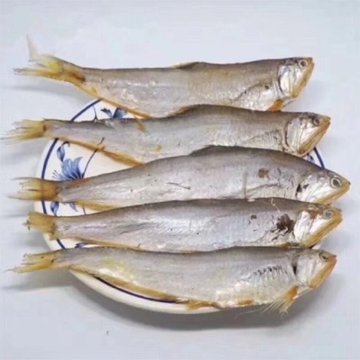 滨州咸鱼