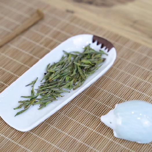 松阳县丽水本地新茶，乌牛早毛峰茶叶，产地直销没有商铺加价头牙采摘