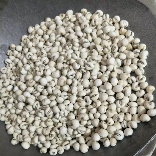 玉林 平贝母 天然  无硫新货 中药材批发