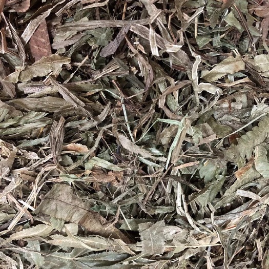 玉林 中药材    凤尾草