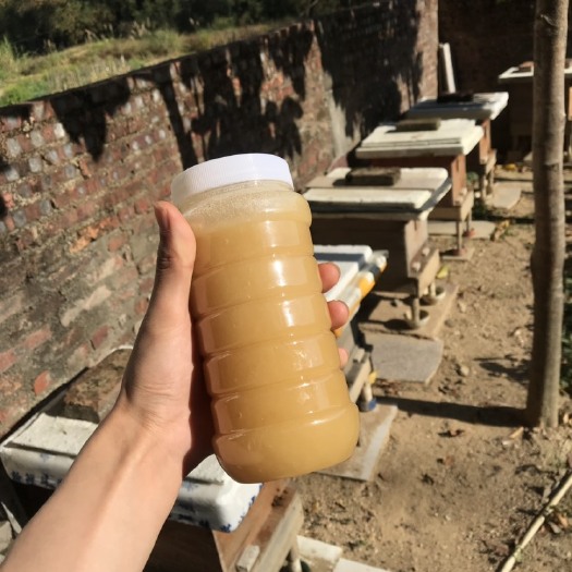 陆河县 农家自产蜂蜜 鸭脚木结晶冬蜜