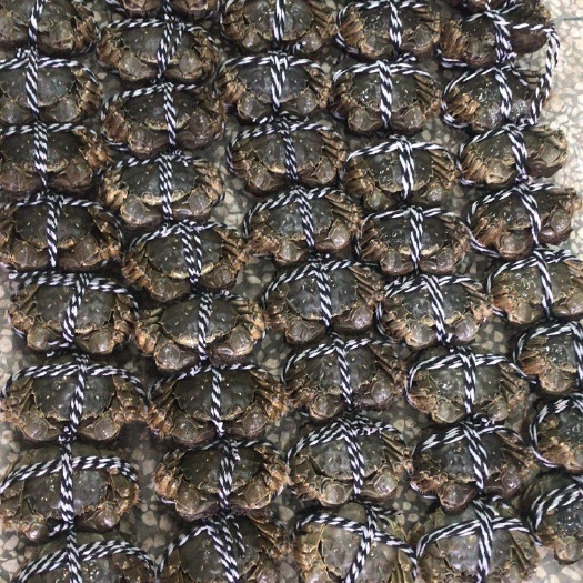 兴化大闸蟹 统货 2.5-3.0两