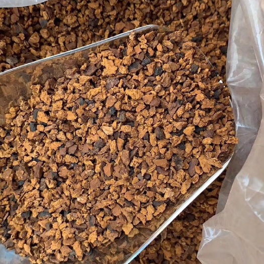 罗定市俄罗斯桦树茸 天然瑰宝大自然的恩赐-桦褐孔菌