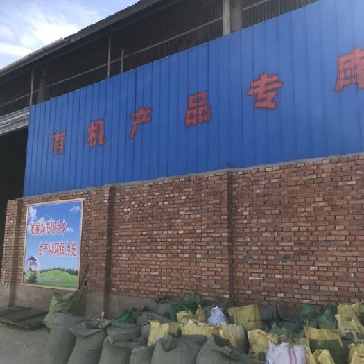 山丹县 优质有机大麦