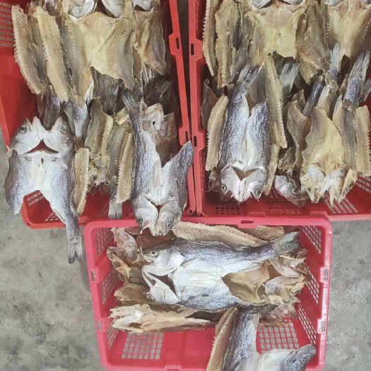 鲈鱼干 广东珠海，水产品干货，欢迎订购！
