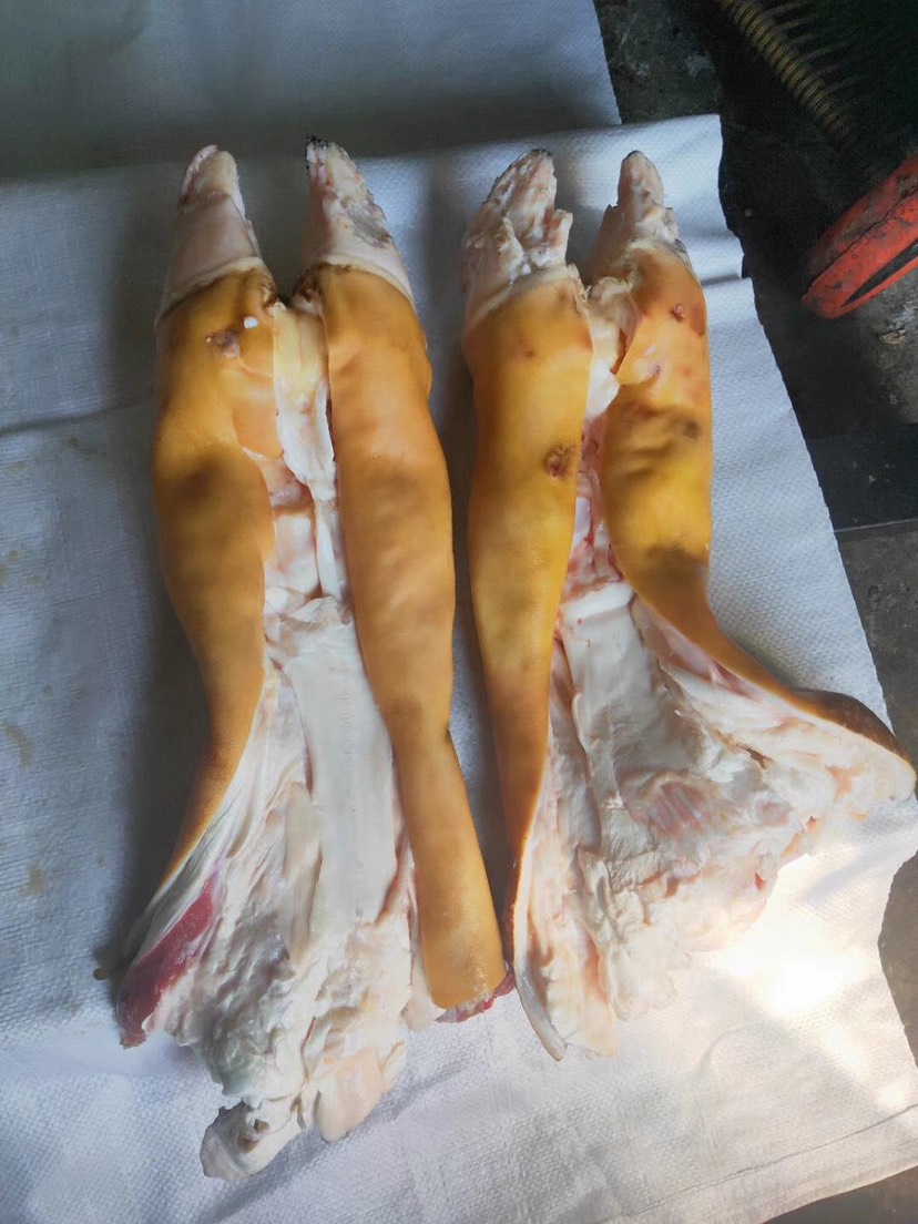 牛蹄筋  半去骨牛蹄