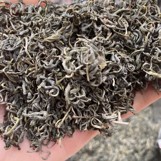 肇庆 特级绿茶