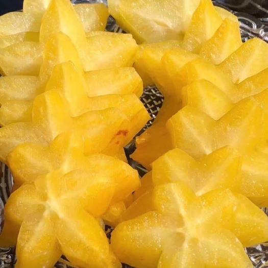 广州 增城杨桃