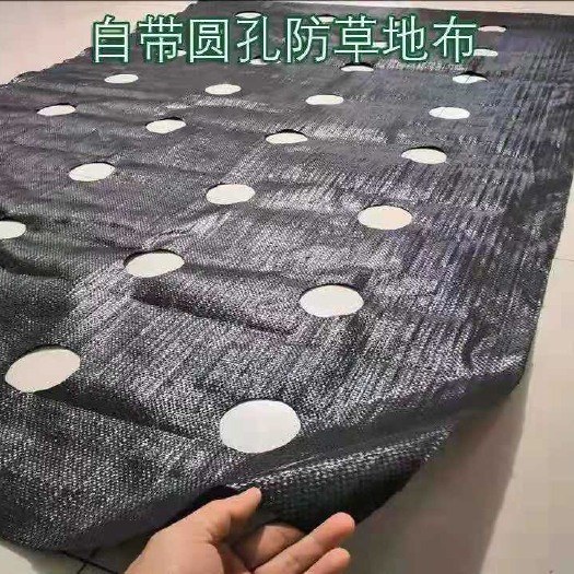德州防草布