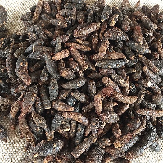玉林 中药材   香附