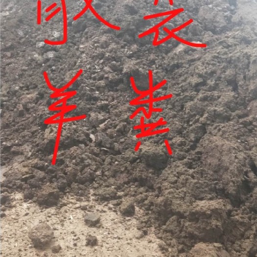 南京羊粪