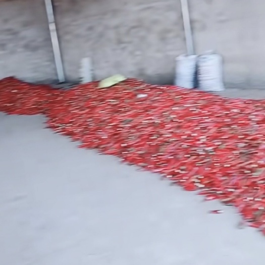 化州市线椒 混装通货 中辣 红色