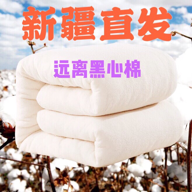 阿克苏市长绒棉  自产自销 新疆特产 新疆棉花棉絮