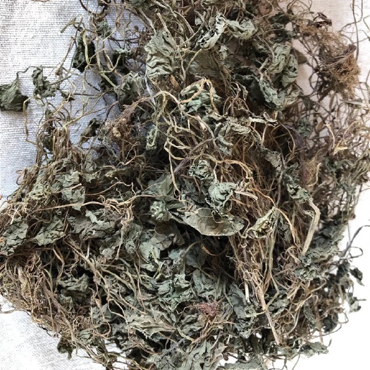 玉林积雪草 中药材雷公根