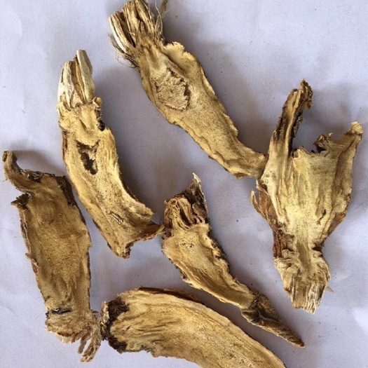 玉林 秦艽
