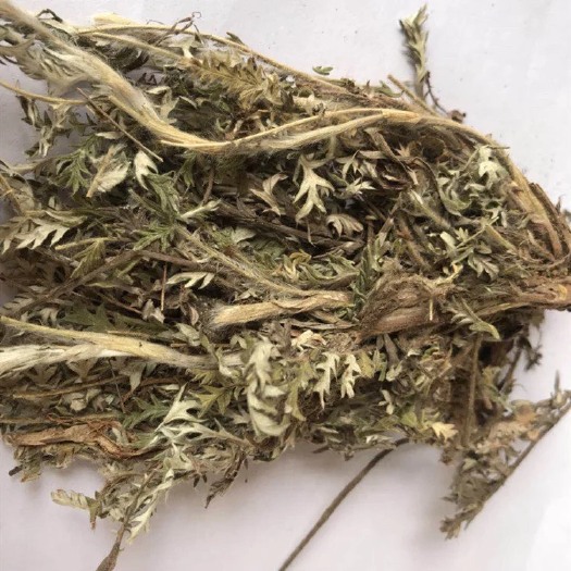 玉林 白头翁   翻白草
