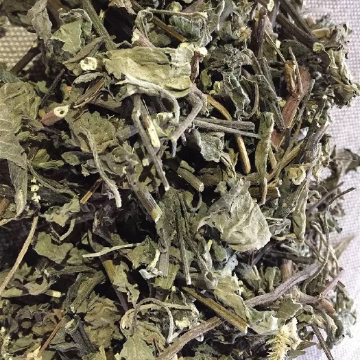  中药材   倒扣草