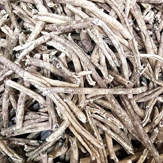 玉林 白鲜皮