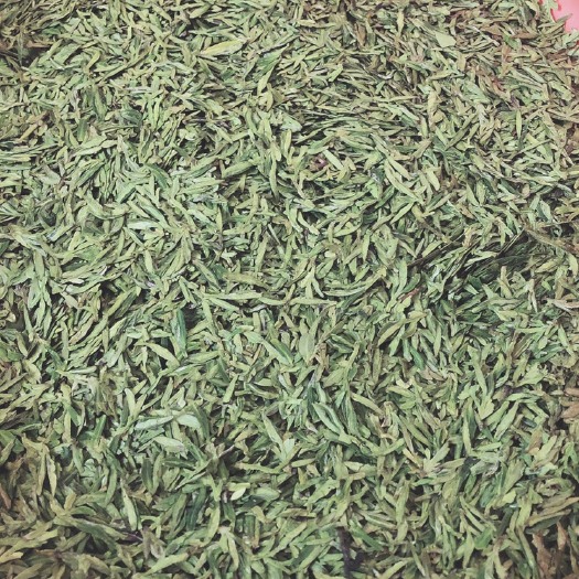 松阳县竹叶青茶 2024新茶