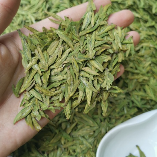 杭州茶青 禅茶一味，品读生活。人间茶酒，最抚凡心！！！