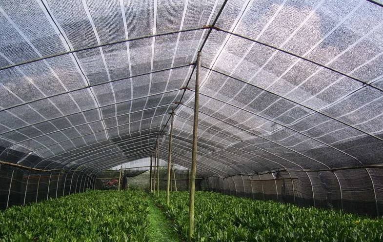 台州遮阳网 农用遮阳网 二针三针质保三年四针六针遮阳网抗老化