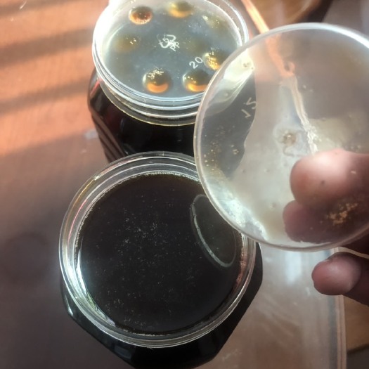 诏安县 天然蜂蜜，百年深山的百花蜜，的天然产品