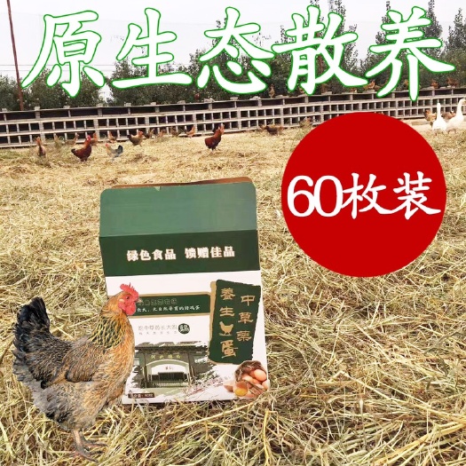 深泽县 德尚天然散养卢花鸡蛋，吃中草药长大的鸡，鸡蛋营养价值！