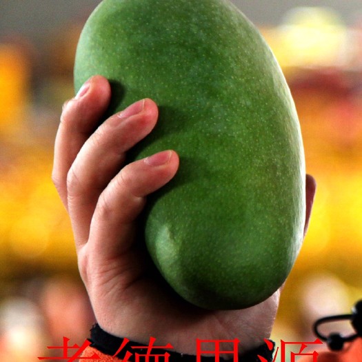 南宁 越南大青芒