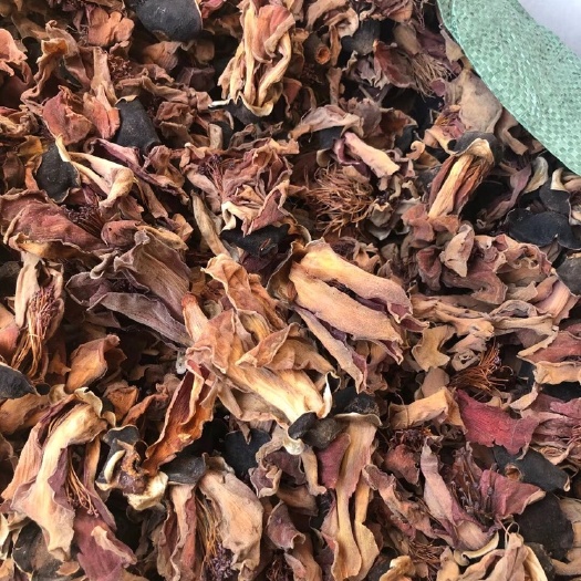 长期供应｛木棉花｝可批量可零售量大从优【包邮】