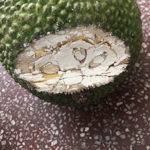 河口县红肉菠萝蜜 10斤以下