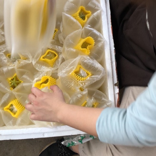 龙门县香密杨桃快递专业包装