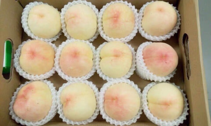 新沂市 新沂踢球水蜜桃超甜现摘现发新鲜孕妇水果桃子6两12个包邮