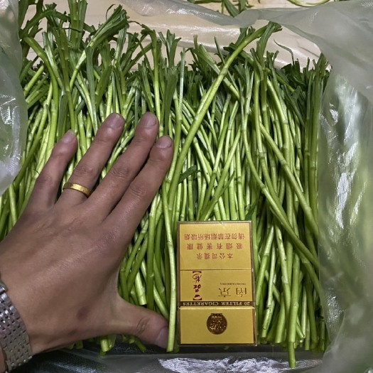 宿迁青藜蒿  新鲜精品净蒿大量上市