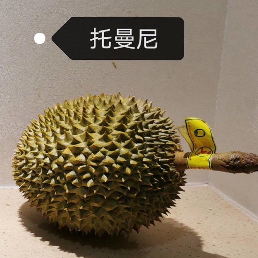 广州 泰国空运托曼尼新鲜榴莲