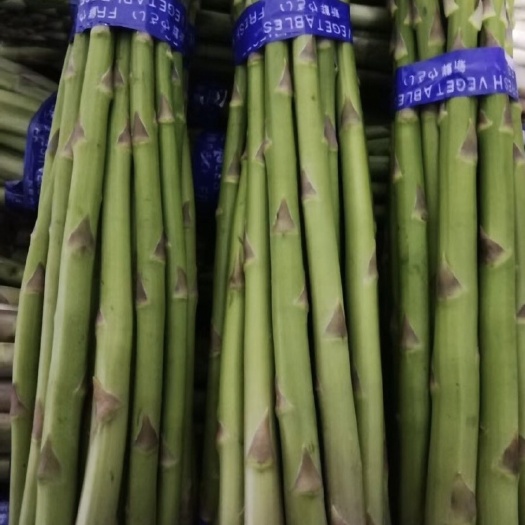 连云港 新鲜芦笋上市无公害绿色蔬菜，欢迎预定