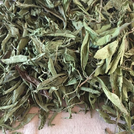 玉林甜叶菊茶 甜叶菊