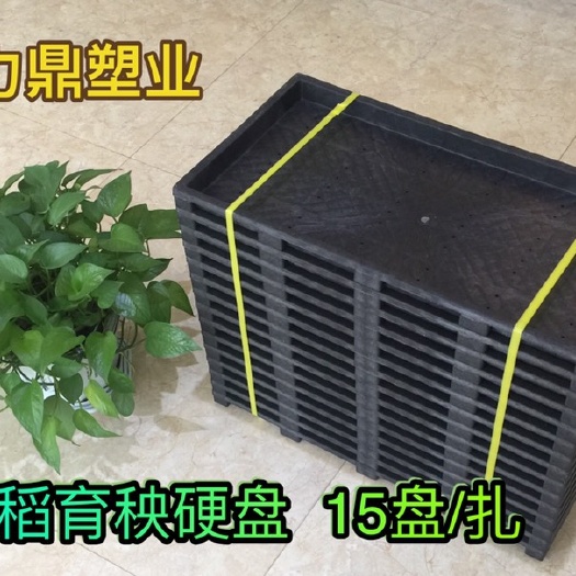 穴盘/育苗盘  育秧硬盘：水稻生产工厂化育秧畅销产品