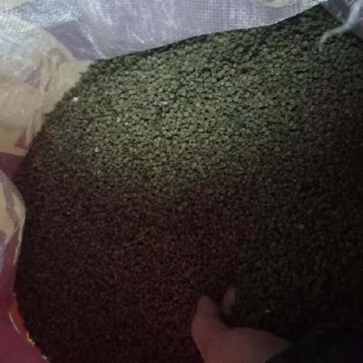 樟树市吴茱萸种子 自家种植，直供，没有中间商