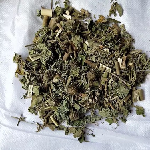  中药材磨盘草 茼麻草 耳响草 唐档草