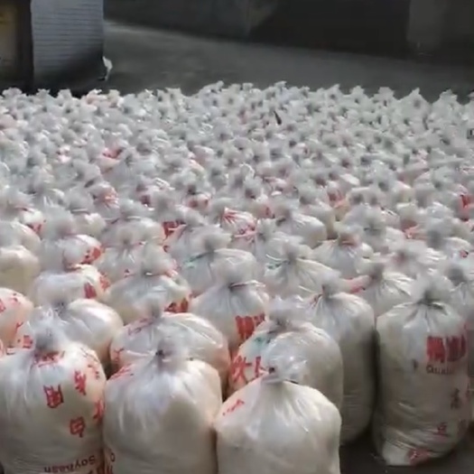 重庆市生态鲜豆渣