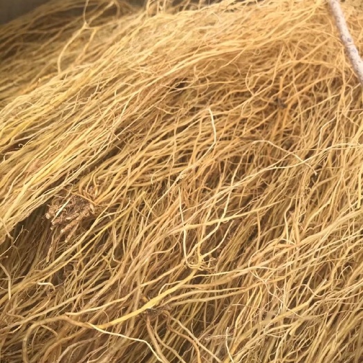 云县龙胆草精选货产地供应